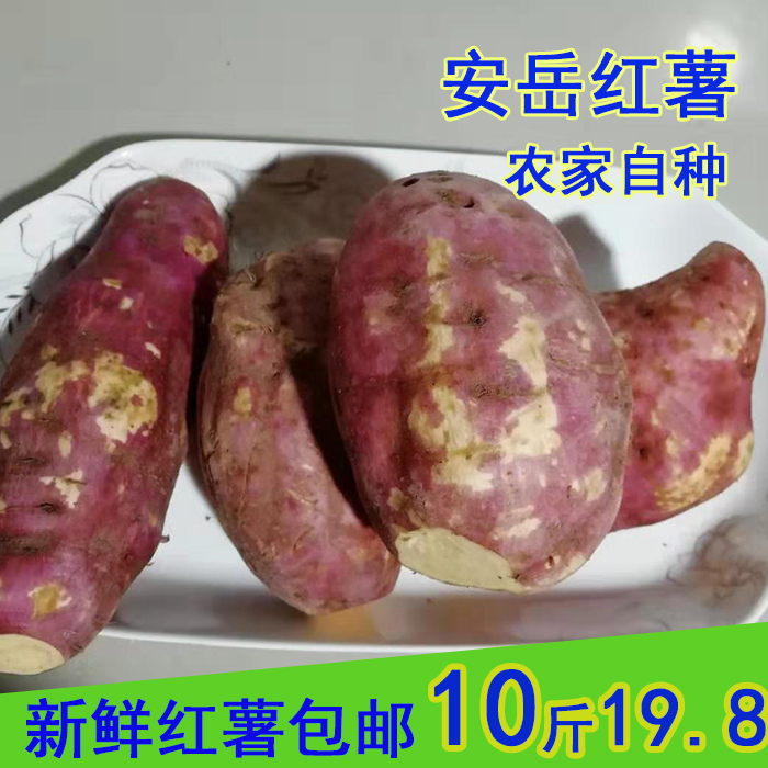安岳红薯 红心番薯 安岳特产 带箱约10斤现挖新鲜农家红薯 包邮