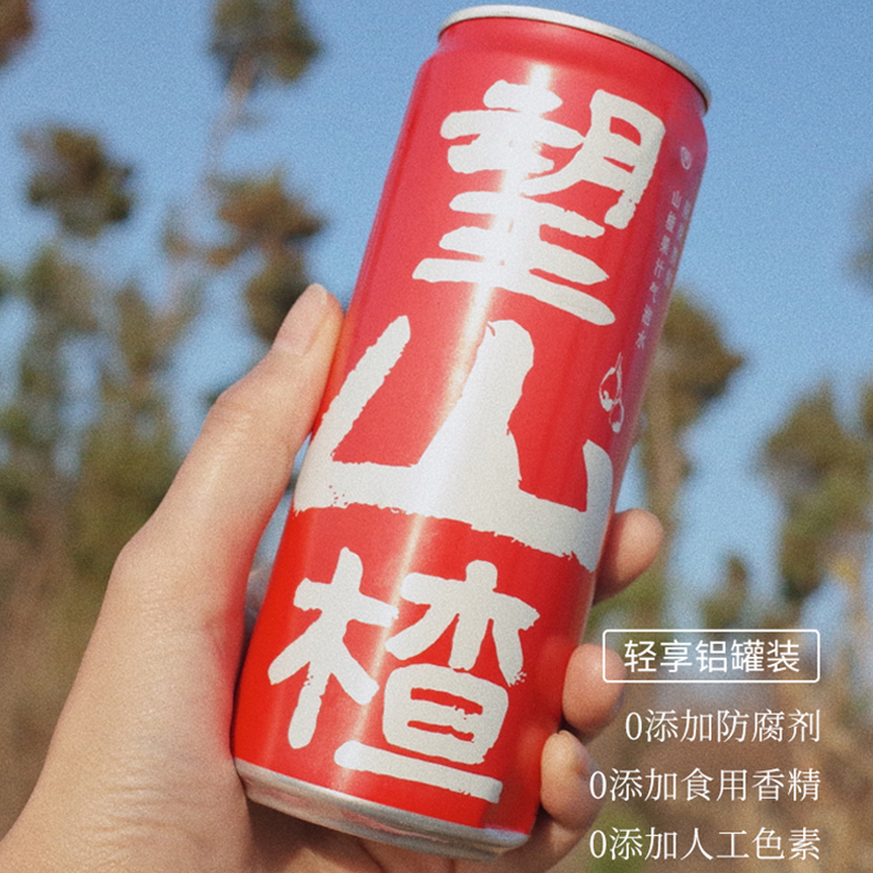 望山楂汁果汁饮料整箱解腻山楂果味气泡水网红汽水铝罐装330ml*6