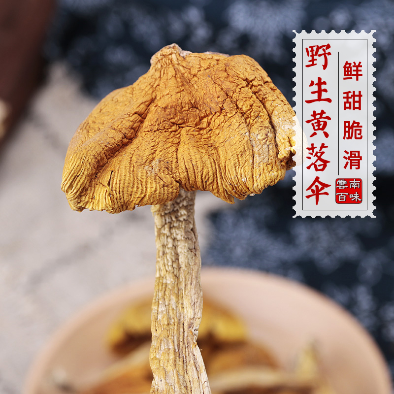 2021云南野生黄落伞菌干货鹅蛋菌黄罗伞黄鸡枞菌野生食用蘑菇500g